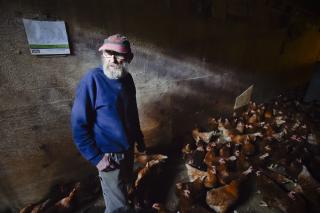Hugh Spencer, a 68-year-old poultry farmer near Plains, checks on one of his three chicken barns, where he raises about 6,000 chickens for egg production. Thom Bridge / Independent Record