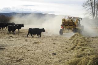 A rancher uses a bail spreader to feed his cattle on a family ranch outside Boulder, Mont. There are 27,048 farms in Montana, according to the 2017 census of agriculture provided by the United States Department of Agriculture.